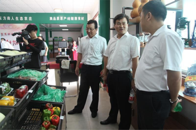 攜手共謀綠色未來 湖南瀘溪縣政府考察團深入刁鎮調研石墨烯地暖研發新進展